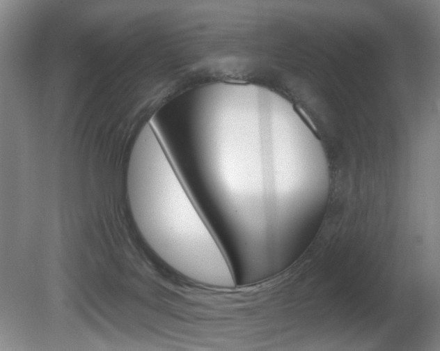 X0000081560027200701151011