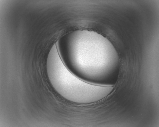 X0000081560029200701151011