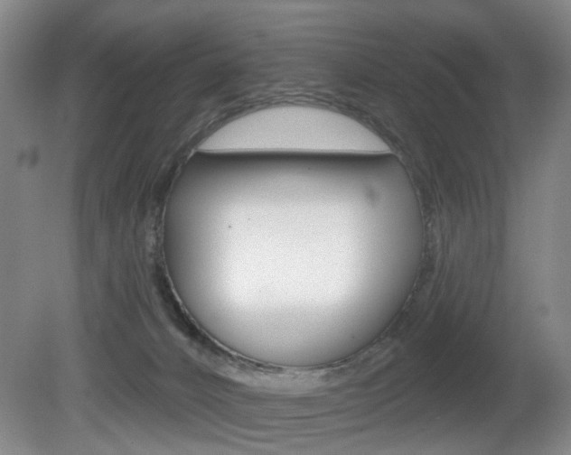 X0000081560032200701151011