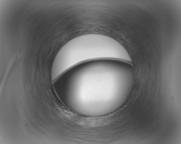 X0000081560033200701151011