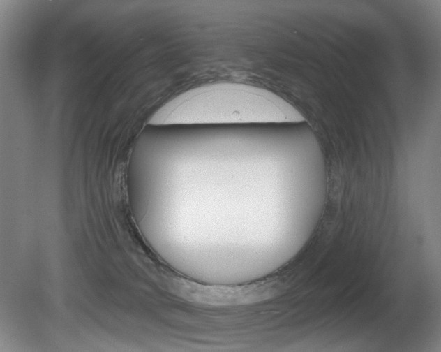 X0000081560034200701151011