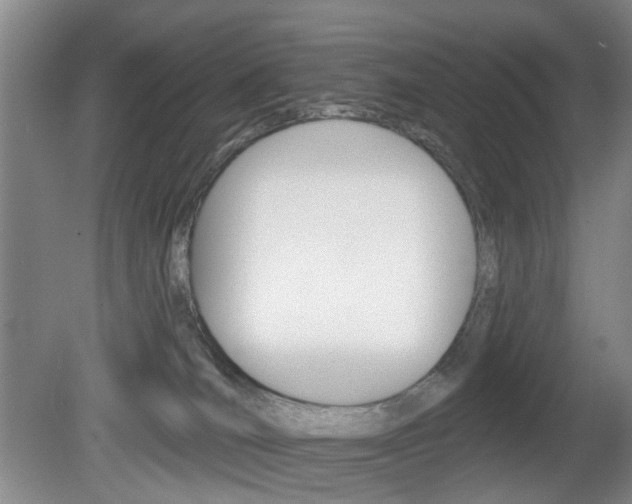 X0000081560036200701151011