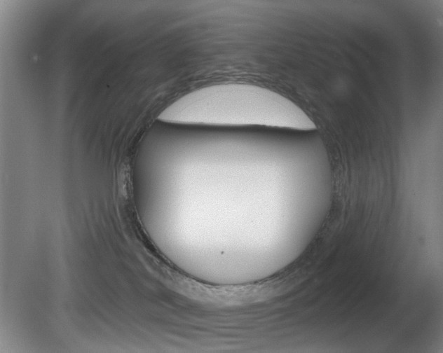 X0000081560038200701151011