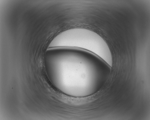 X0000081560039200701151011
