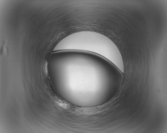X0000081560041200701151011