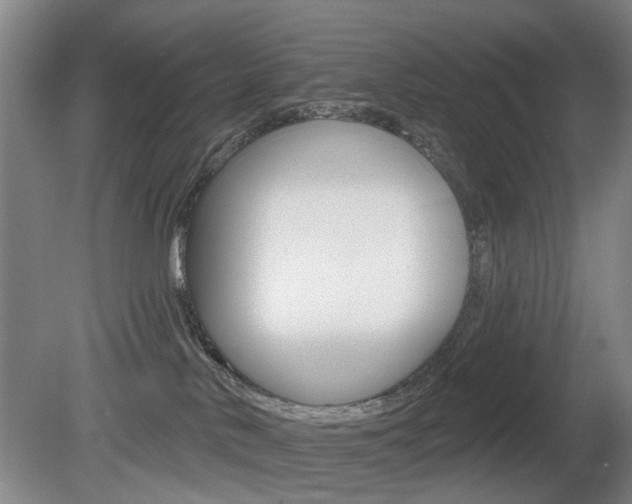 X0000081560042200701151011