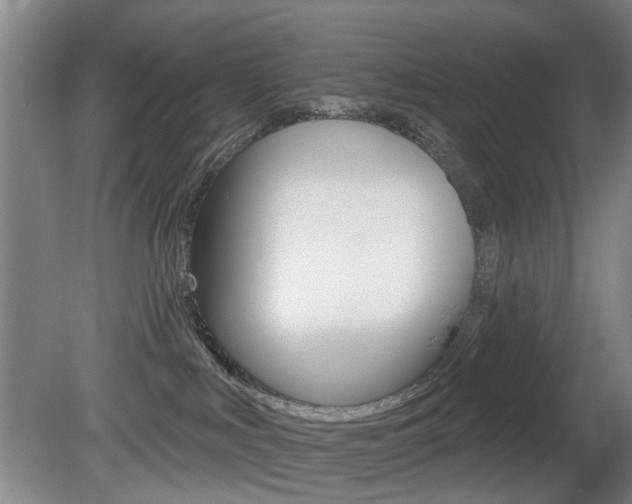 X0000081560043200701151011