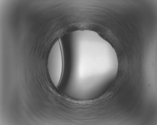 X0000081560044200701151011