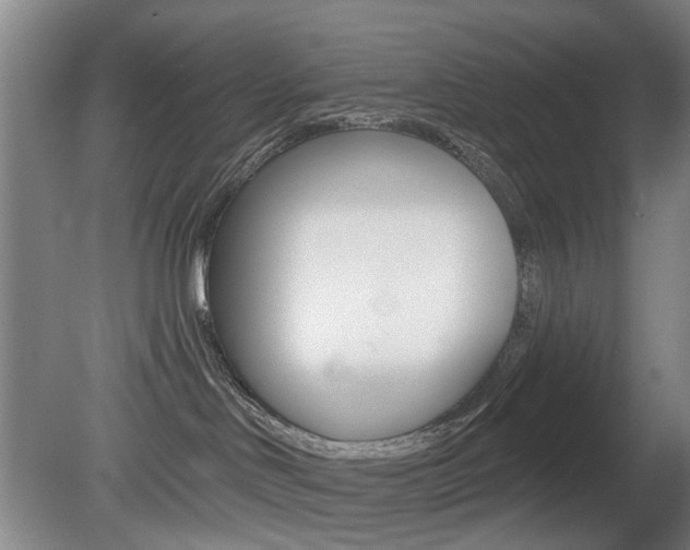 X0000081560046200701151011