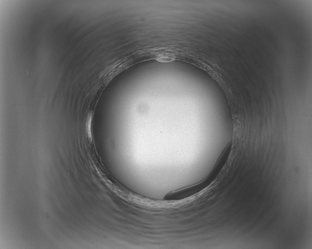 X0000081560047200701151011