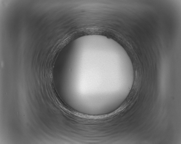X0000081560048200701151011
