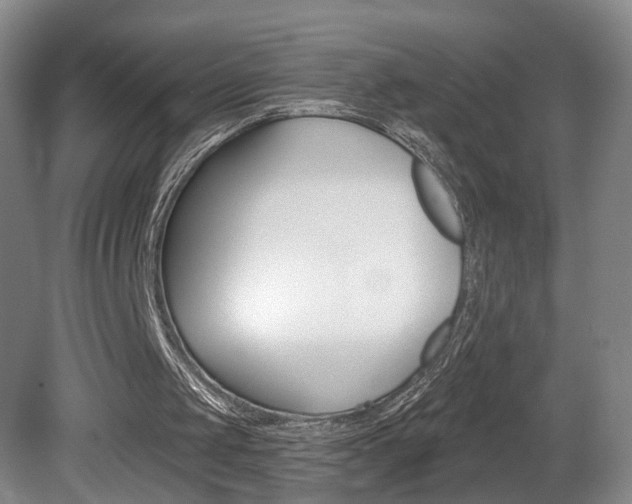 X0000081560049200701151010
