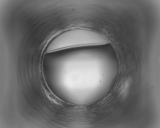 X0000081560050200701151010