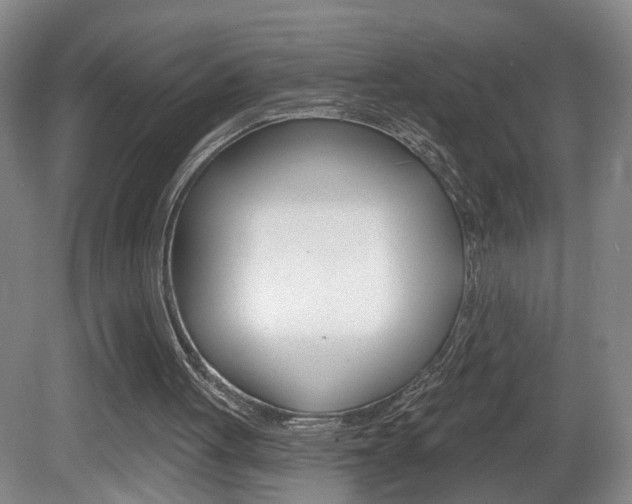 X0000081560051200701151010