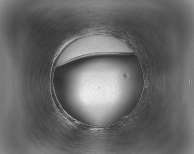 X0000081560052200701151010