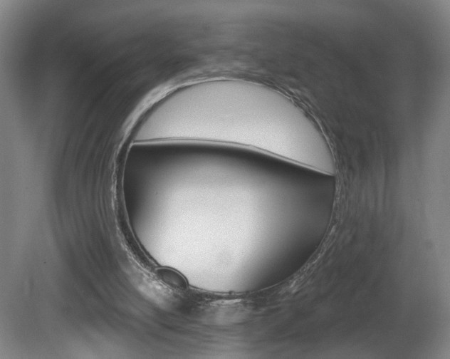 X0000081560054200701151010