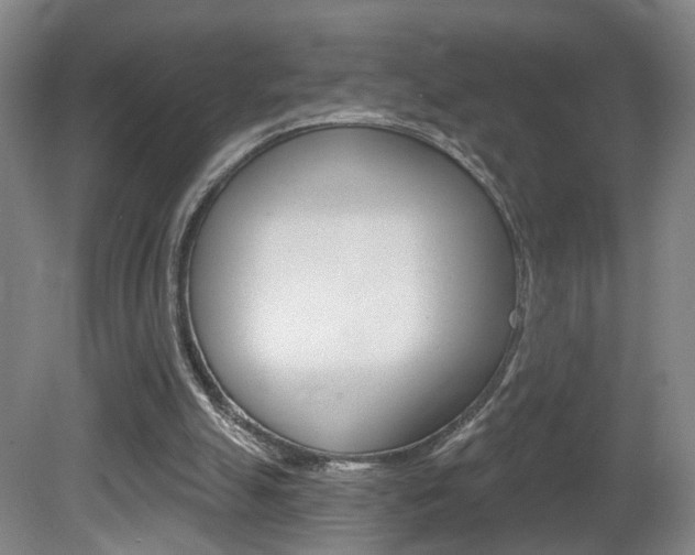 X0000081560055200701151010
