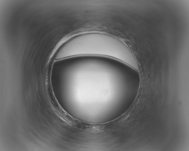 X0000081560056200701151010