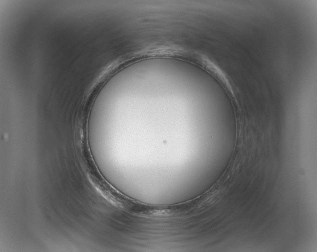 X0000081560059200701151010
