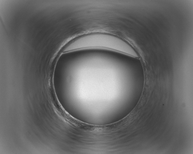 X0000081560060200701151010