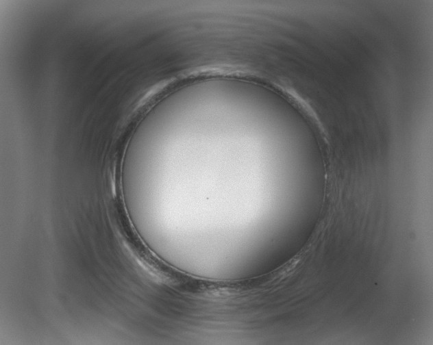 X0000081560062200701151010