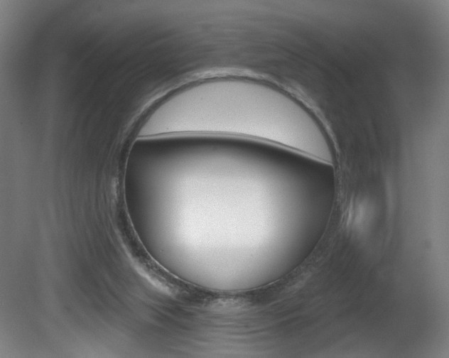 X0000081560063200701151010