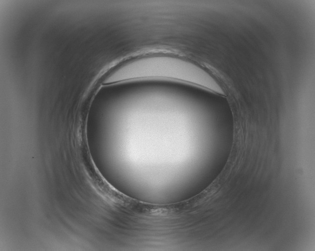 X0000081560064200701151010