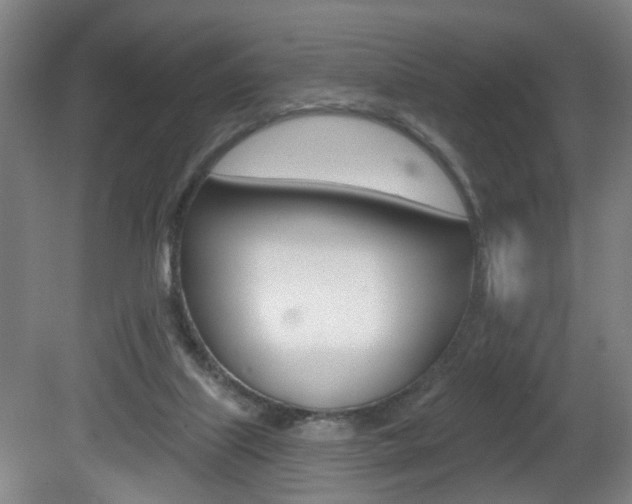 X0000081560067200701151010