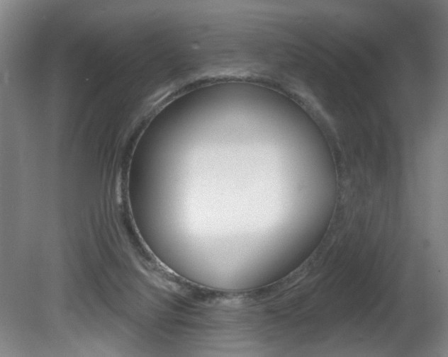 X0000081560068200701151010