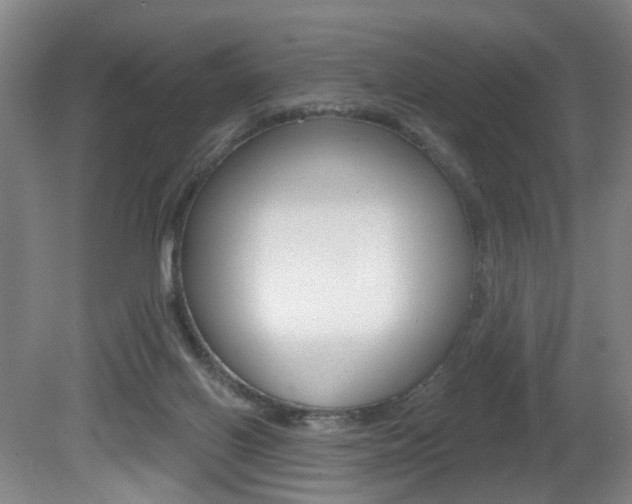 X0000081560070200701151010