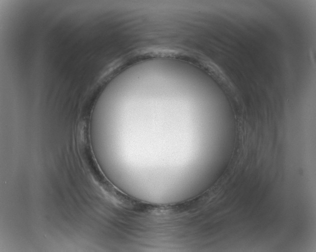 X0000081560071200701151010