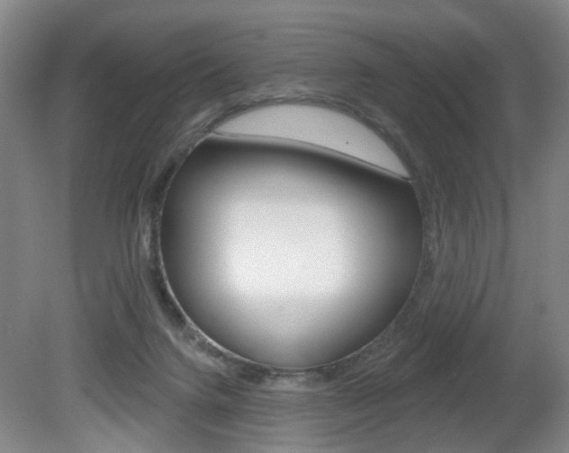 X0000081560072200701151010