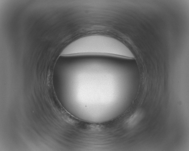 X0000081560073200701151010