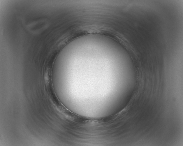 X0000081560074200701151011