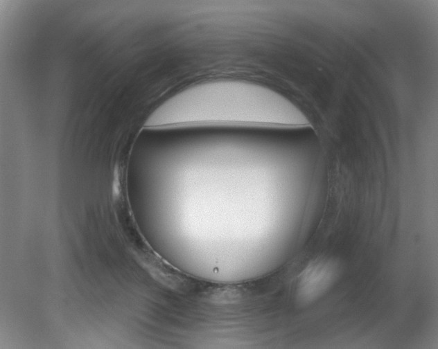 X0000081560075200701151011