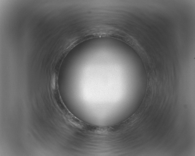 X0000081560076200701151011