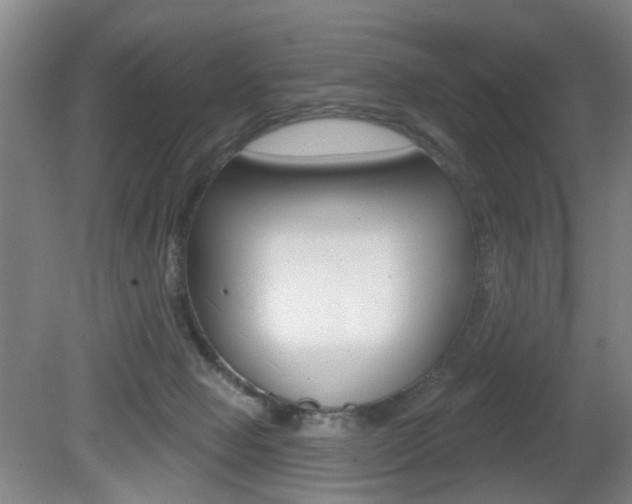 X0000081560077200701151011