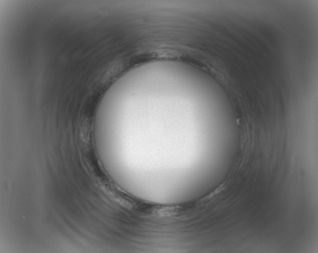 X0000081560078200701151011