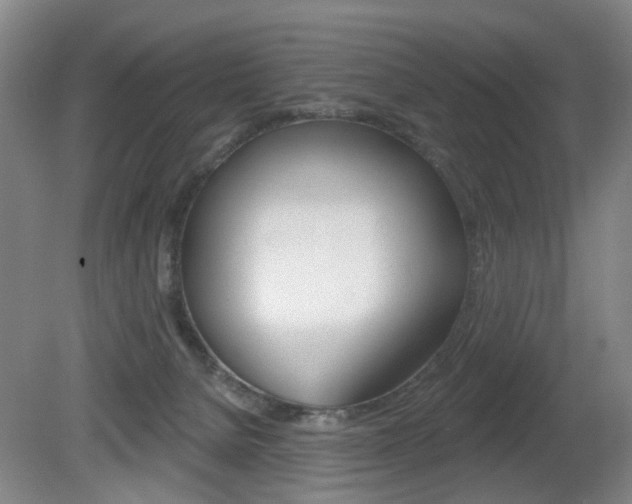 X0000081560080200701151011