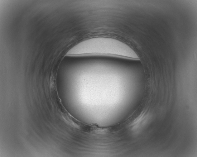 X0000081560081200701151011