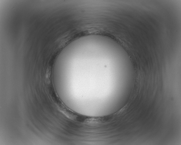 X0000081560082200701151011