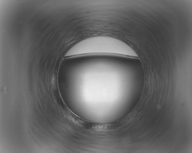 X0000081560084200701151011