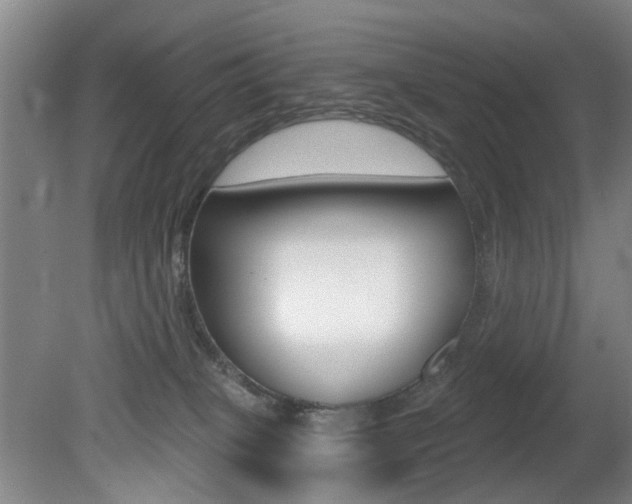 X0000081560085200701151011