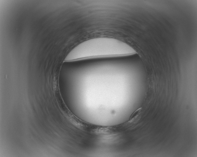X0000081560086200701151011
