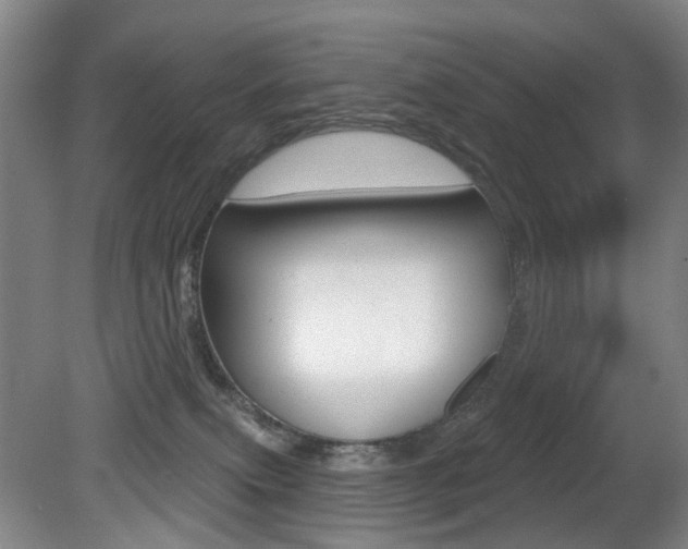 X0000081560087200701151011