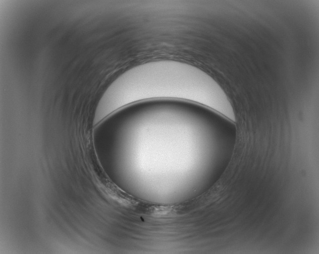 X0000081560088200701151011