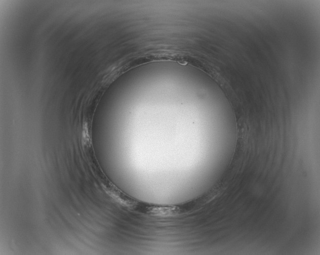 X0000081560089200701151011