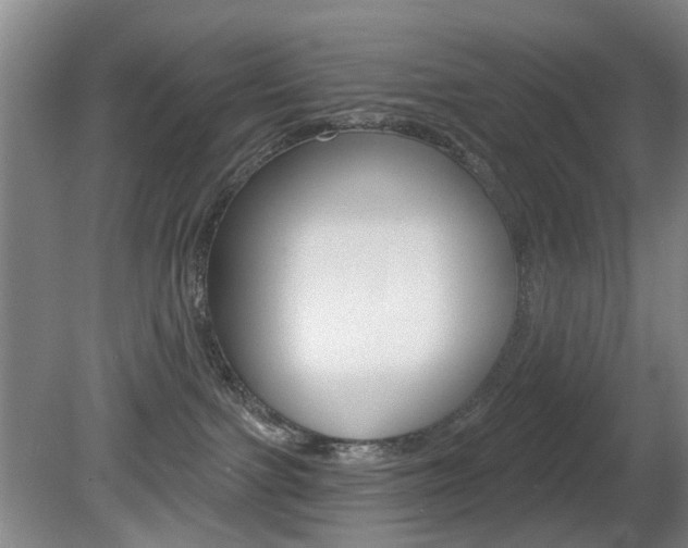 X0000081560091200701151011