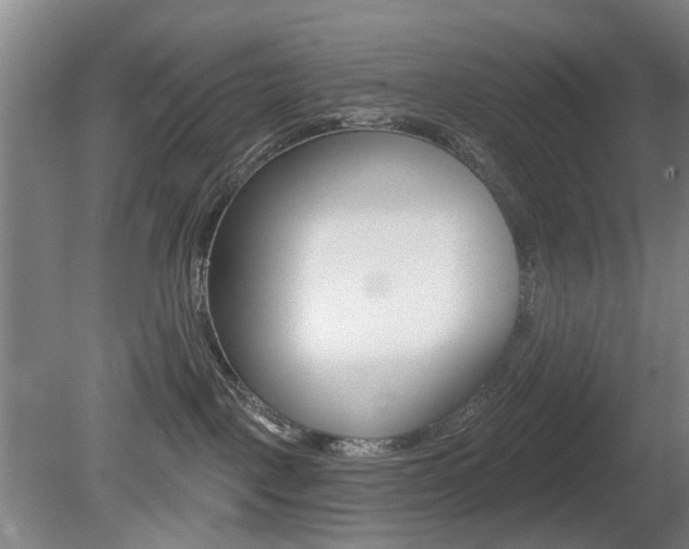 X0000081560093200701151011