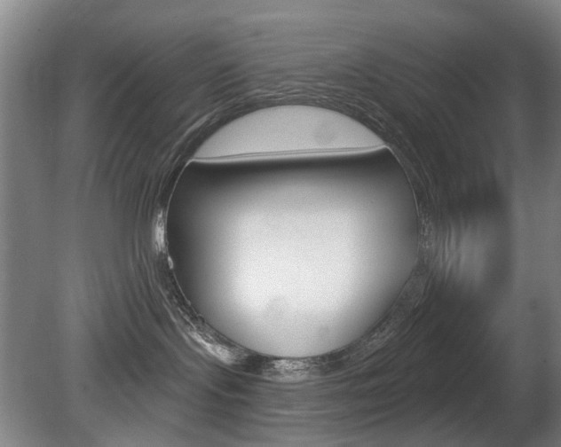 X0000081560095200701151011